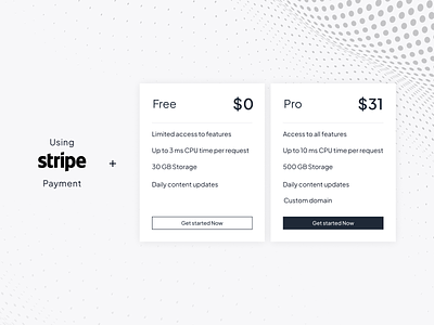 Fouita Stripe Pricing Card