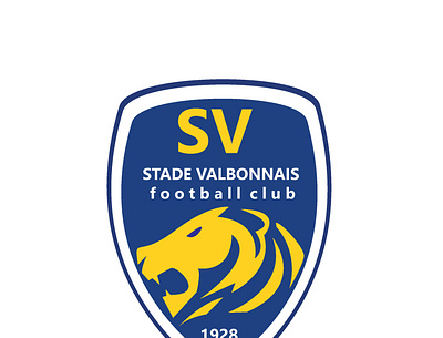 Create a soccer club logo branding design graphic design logo