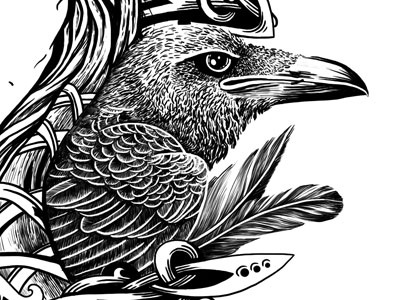 Raven bird black feather illustration raven whiskey