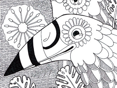 Tukan bird illustration ink tukan