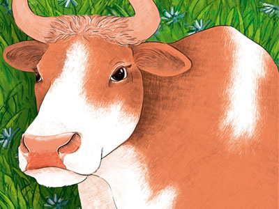 Cow cow illustration
