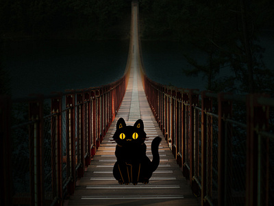 night cat 2d animation animation branding design graphic design illustration motion graphics