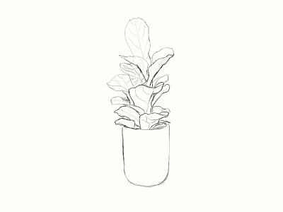 my office plant artrage bureau office plant rebelle sketch