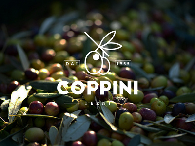 COPPINI extra virgin olive oil - Brand brand design extra food graphic identity logo oil olio olive restyling virgin