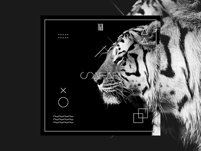 SAFARI - Tiger animal black brand dark design graphic logo safari tiger white zoo
