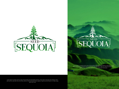 Seed Sequoia Logo branding design graphic design illustration logo typography vector