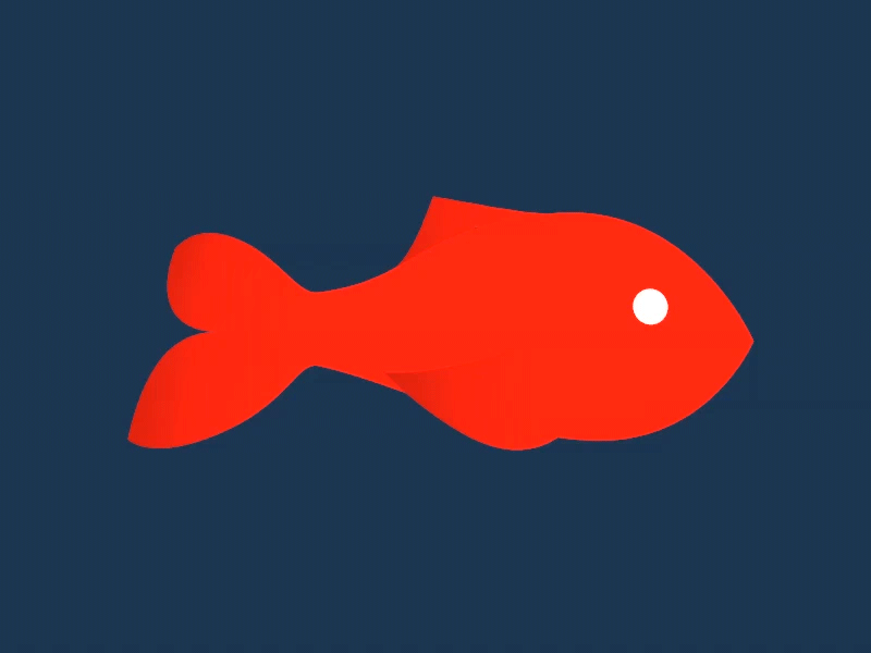 Fish fish