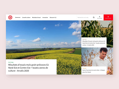 LG Seeds - Homepage agriculture animation design e commerce graphic design homepage hover layout overlay scroll seeds ui ux video web web design website