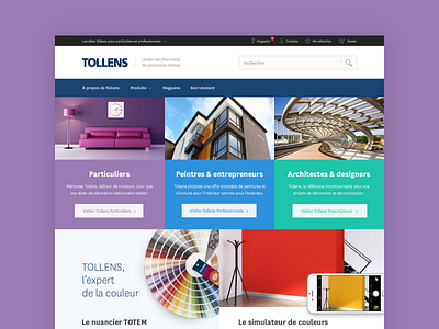 Tollens - Case Study case study color flat graphic design layout paint ui ux web web design