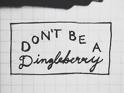 Don't Be A Dingleberry Sketch design hand lettering ink lettering sketch typography