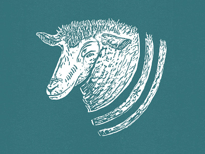 Sheepers Creepers animal design drawing illustration sheep sketch