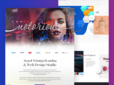 Notorious Studio Website Design Layout design ui web design