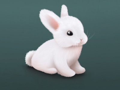 Bucks animal art bunny illustration procreate