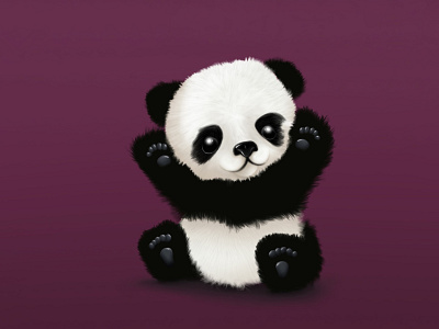 Panda animal illustration procreate
