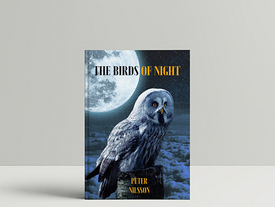 Book cover book book cover cover coverart graphic design mystery nightbird owl photoshop