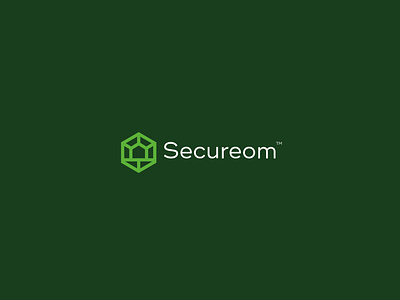 Secureom alexa brand branding camera design home icon logo mark secure smart