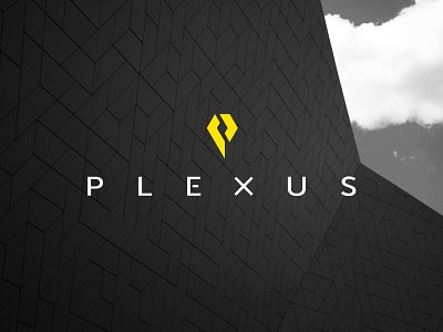 Plexus animation branding logo vfx