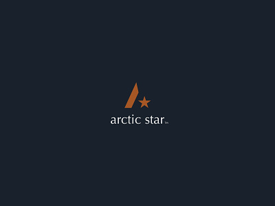 Arctic Star a artic branding logo star