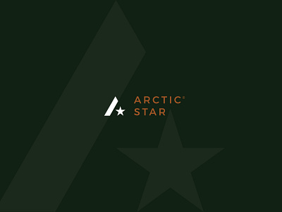 Arctic Star 2 a artic branding logo star