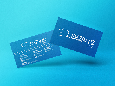 Business Card branding design graphic design illustration logo typography