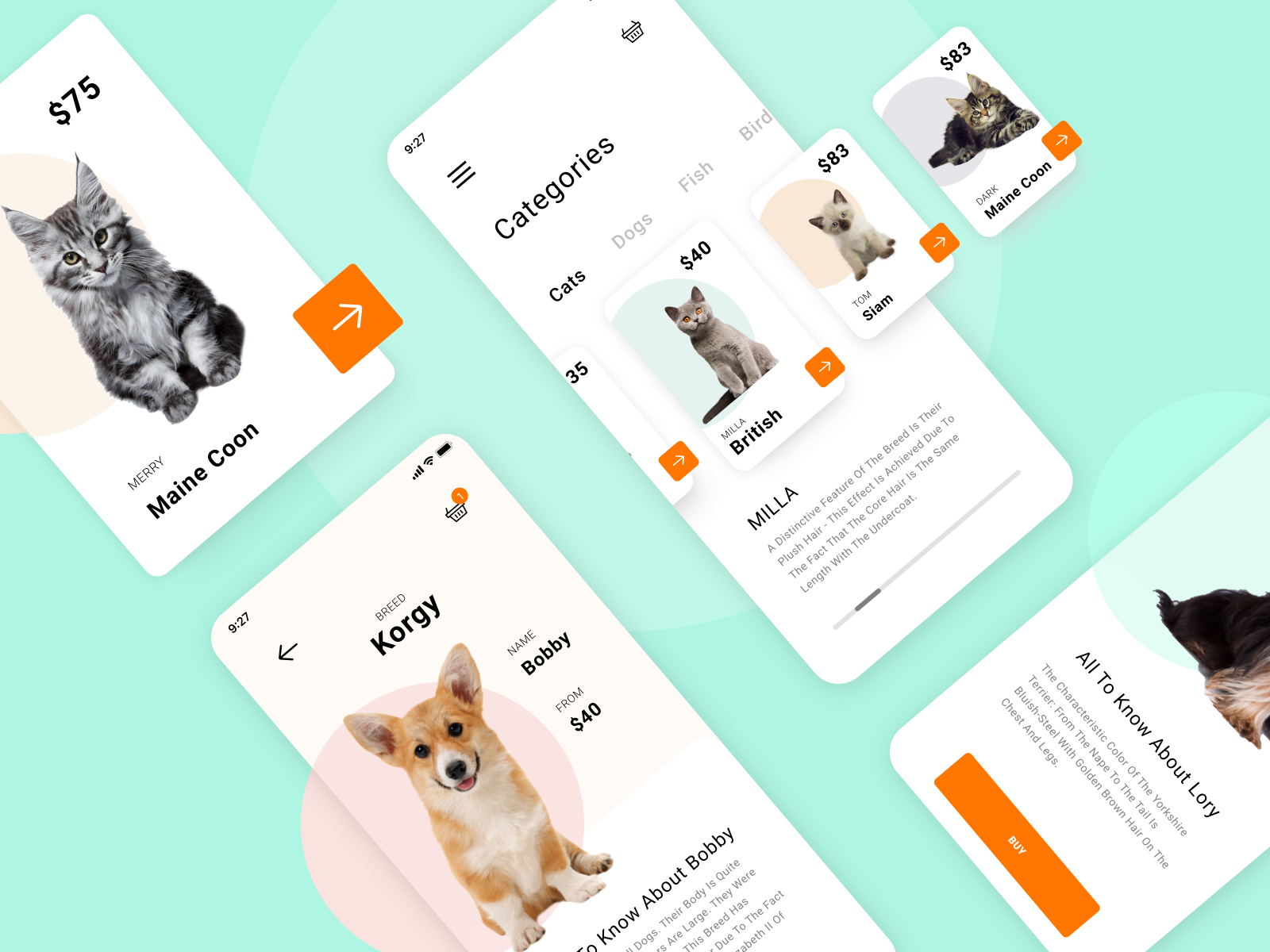 Pet shop App by Irina MIT on Dribbble