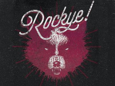 Rockye color design draw hand illustration illustrator marvel raccoon rocket texture