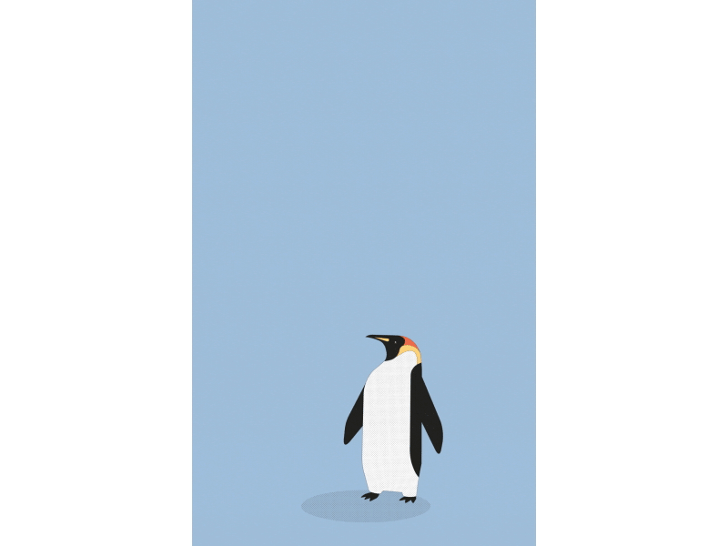 Life in Vertical - The penguin animation gif illustration magical motion motion design parallel studio pbird penguin pingouin tall