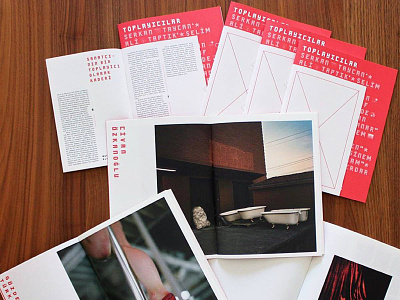 Toplayıcılar / Les Glaneurs et les glaneuses book catalog design editorial layout photography typography