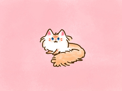 Mochi cat cute doodle floof floppy fluff illustration kawaii kitten kitty mochi ragdoll