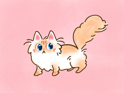 I didn't do it cat cat drawing cat illustration cute doodle fluffy illustration kawaii