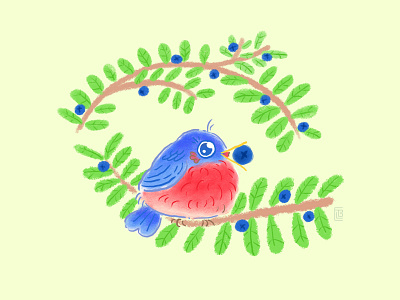 Bluebird bird cottagecore cute doodle illustration