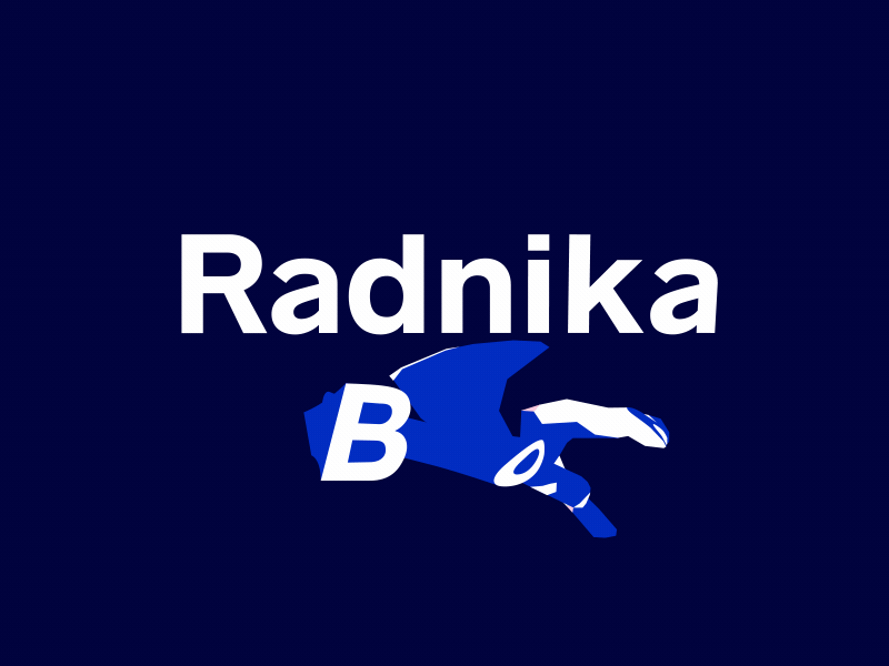 Radnika Bold - Preview after effects animated animation animography font gif kinetic loop motion type typeface typography