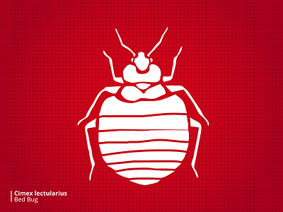 Bloodsuckers Bedbug bugs illustration stylized