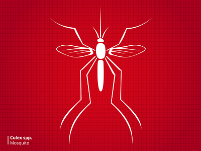 Bloodsuckers Mosquito bugs illustration stylized