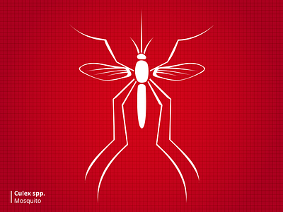 Bloodsuckers Mosquito