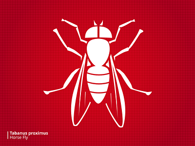 Bloodsuckers Horsefly bugs illustration stylized