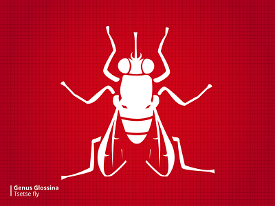 Bloodsuckers Tsetsefly bugs illustration stylized