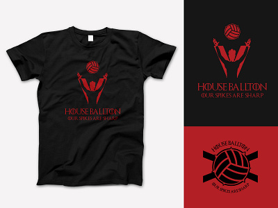 GOT Volleyball Tshirt gameofthrones got shirt design sigil tshirt design volleyball