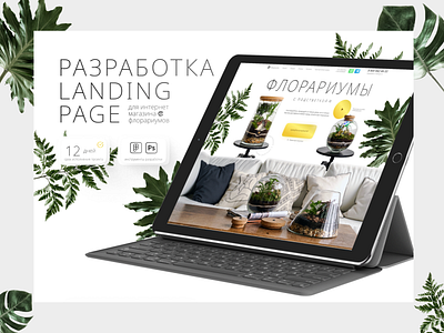 Landing page по флорариумам design home homepage landing landing page site userinterface uxui web design webpage website