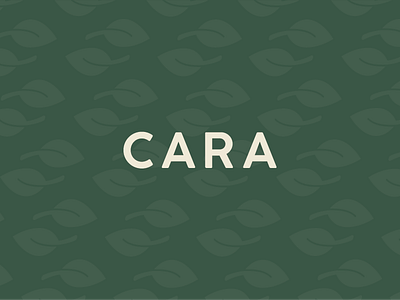 Logo & Branding Exploration | CARA branding color future is female girls identity leaf logo logomark natural organic typography women
