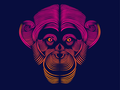 Monkey lines by Magdalena Herichova on Dribbble