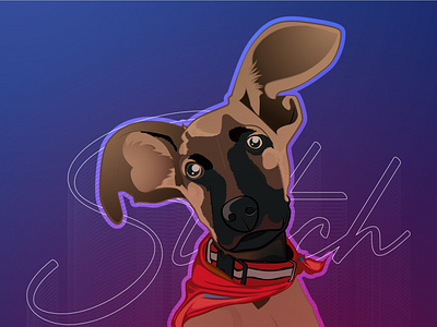 My Dog Stitch adobe illustrator design dog friend illustration pet vector illustration