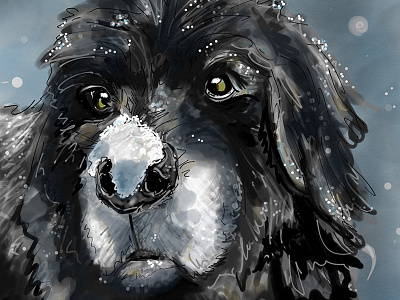 Bogie Bear dog drawing illustration ipad snow