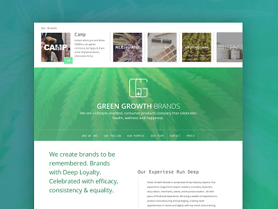 WIP - Company Website brands cannabis green hero banner marketing pot slider team website weed wip