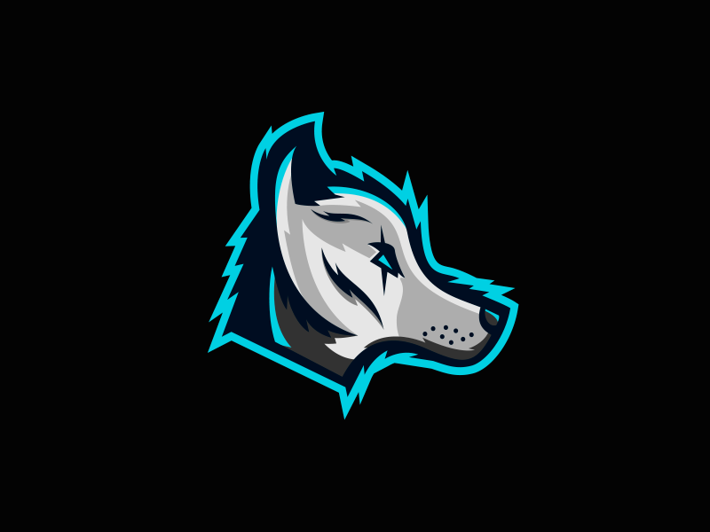 Arctic eSports by Sam Revier on Dribbble