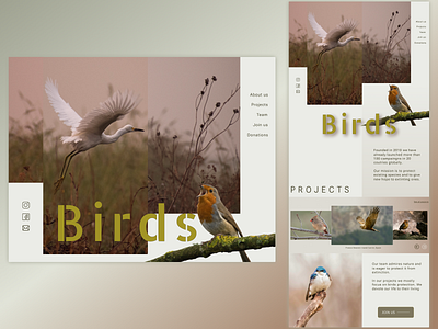 Birds protection organisation birds design nature ui web web design website