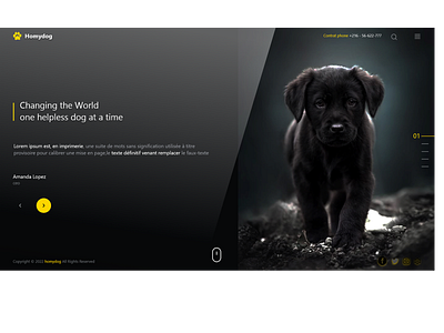 UI design / Homydog animals app branding design dog graphic design illustration ui ux website