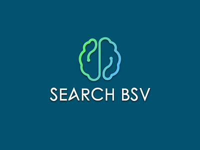 Search BSV