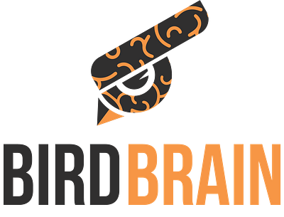 BIRDBRAIN Logo branding illustrator logo logo design