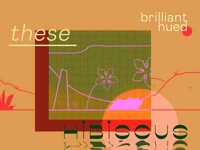 These Brilliant Hued Hibiscus design graphic graphic design haiku illustration japanese art poem typography